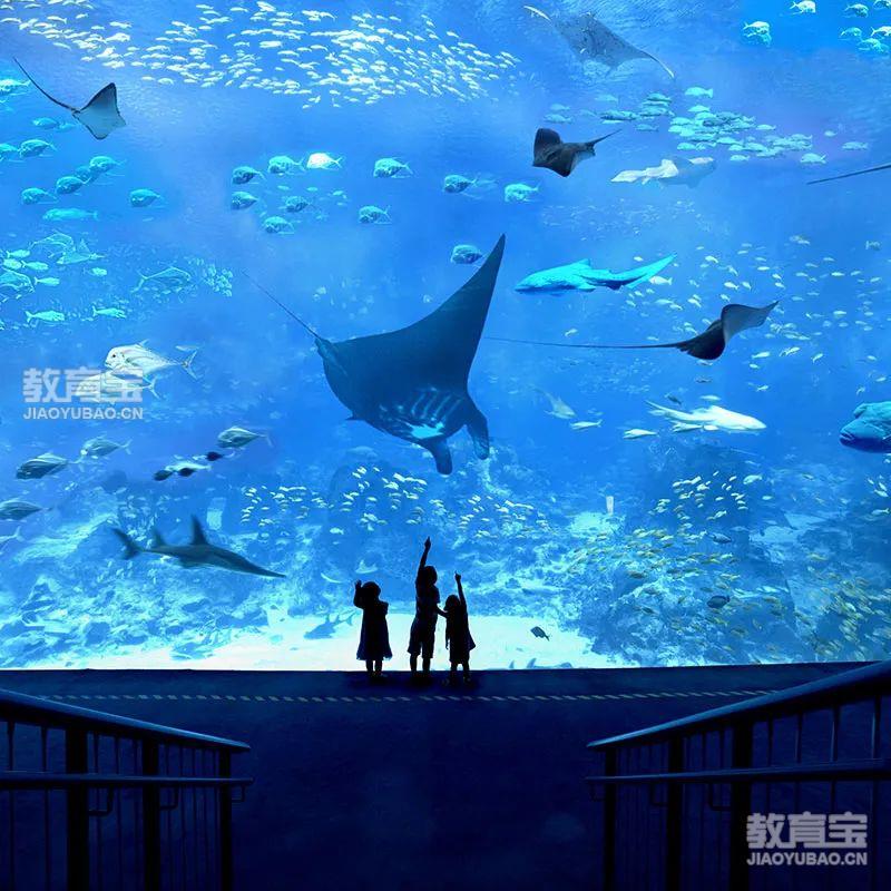 青少年篮球爱好者综合训练方案_1